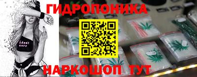 apvp Кимры