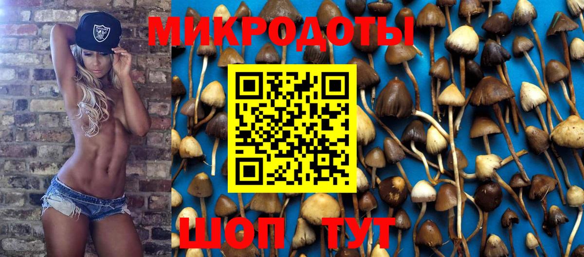 Псилоцибиновые грибы Magic Shrooms Красноармейск